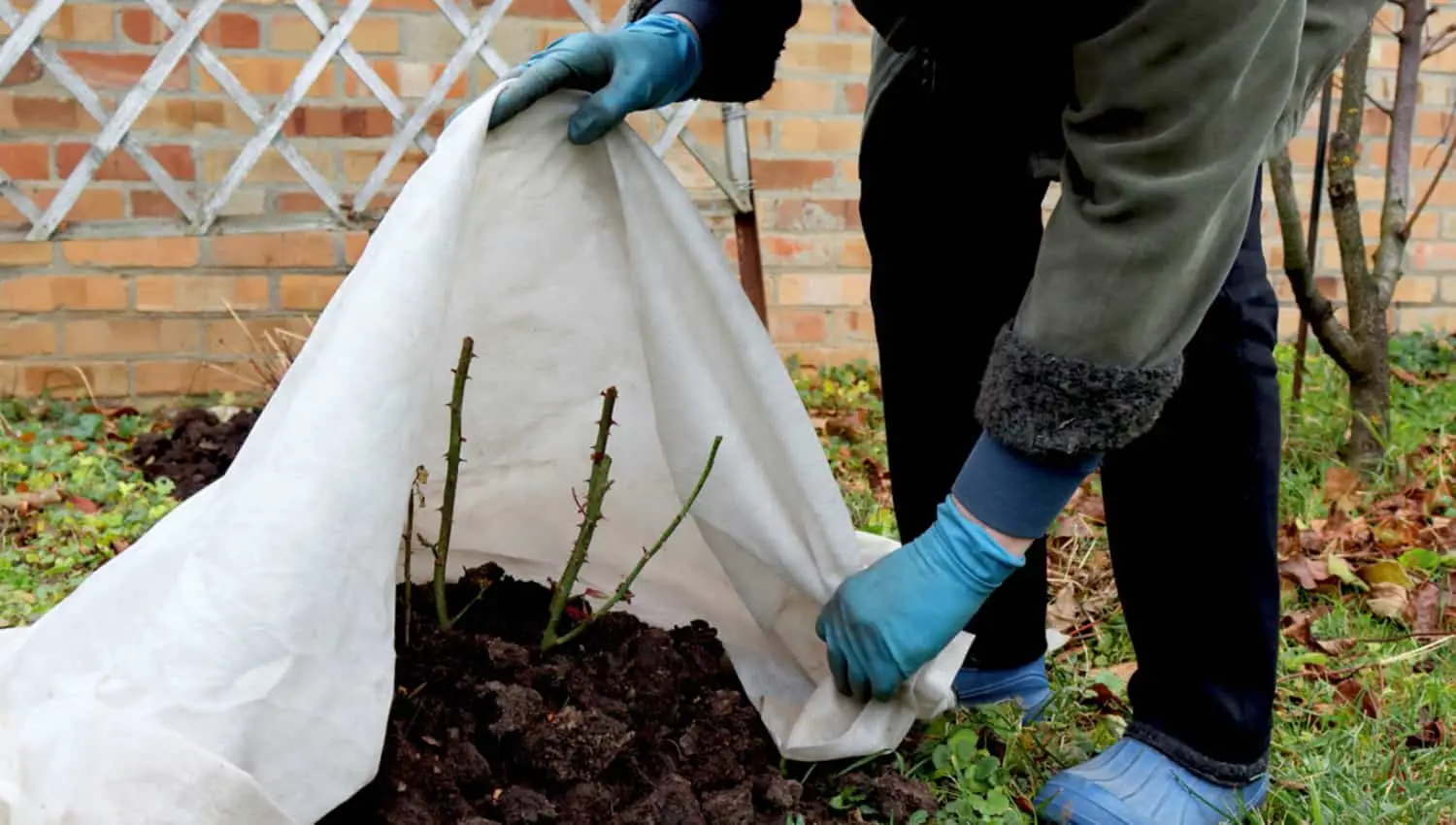 Stai sbagliando a posare il telo anti-erba: ecco l’errore comune che lo rende inutile