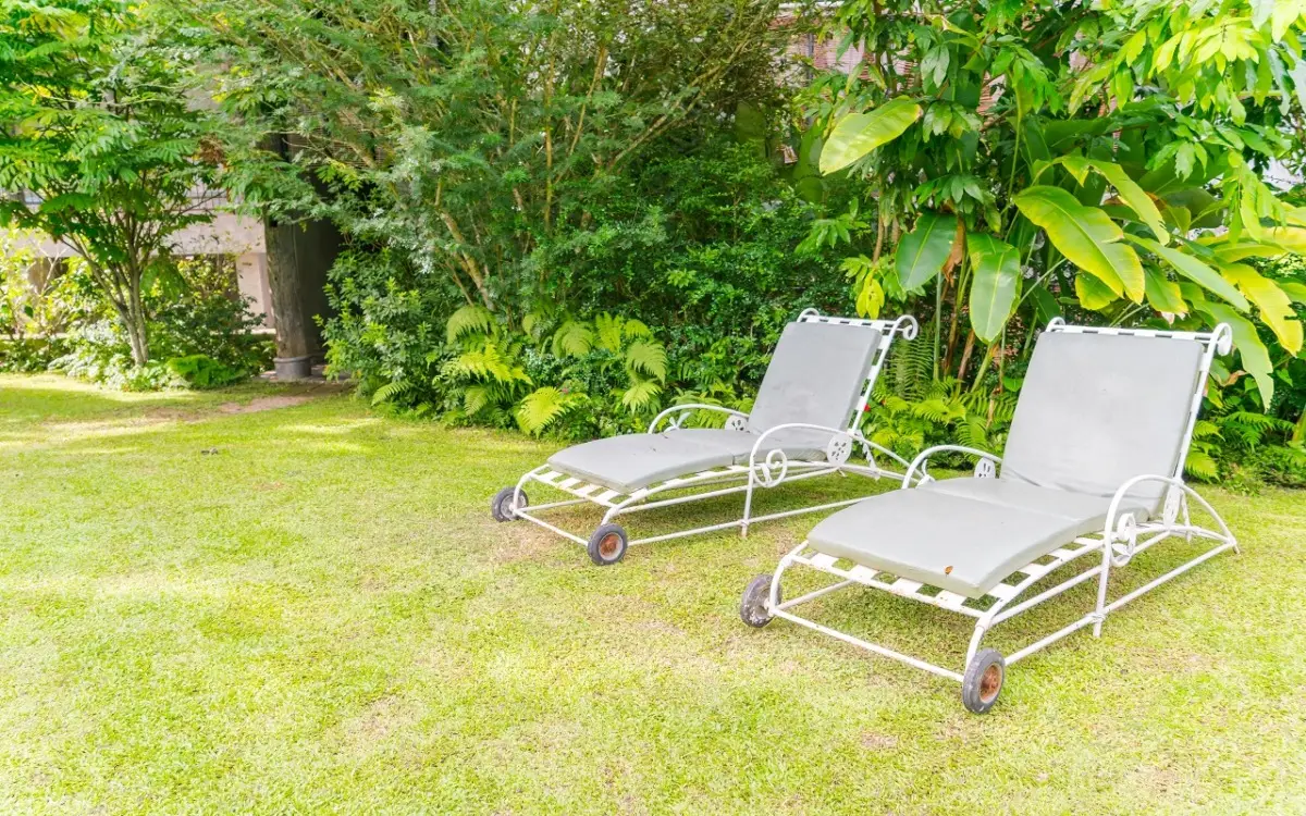 Il trucco semplice per avere un giardino che profuma di buono tutto il giorno