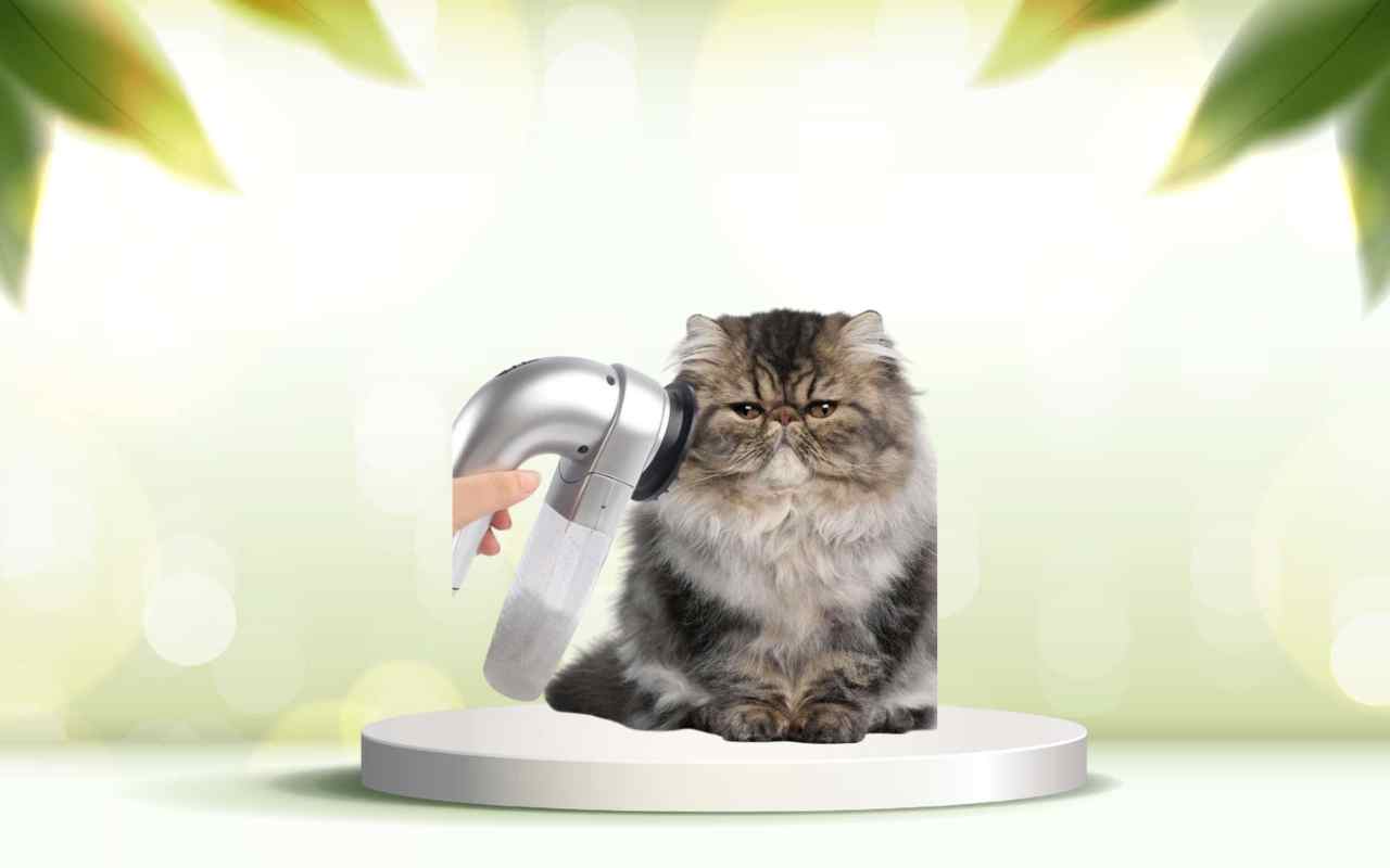 Scopri spazzolAmica: elimina i peli degli animali in casa in modo facile e veloce